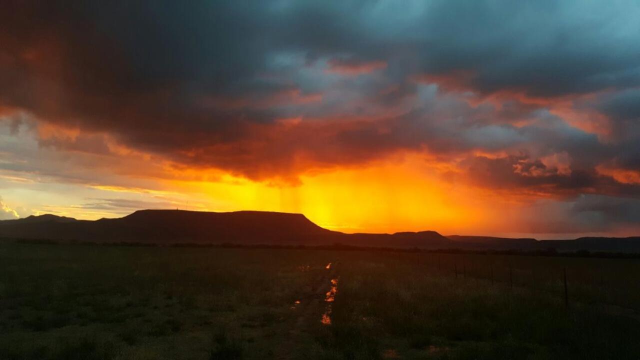 Carlton Heights Guesthouse Middelburg (Eastern Cape) Exterior foto
